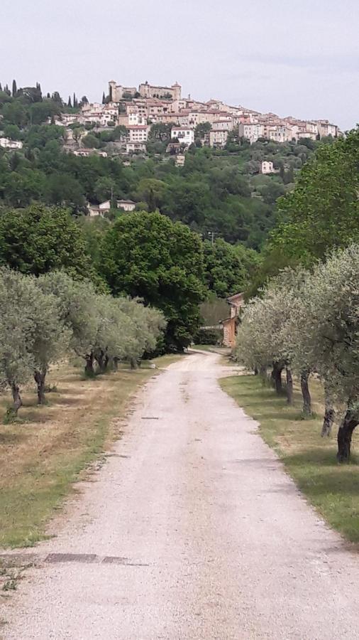 La Rose Des Vents Bed and Breakfast Montauroux Exterior foto