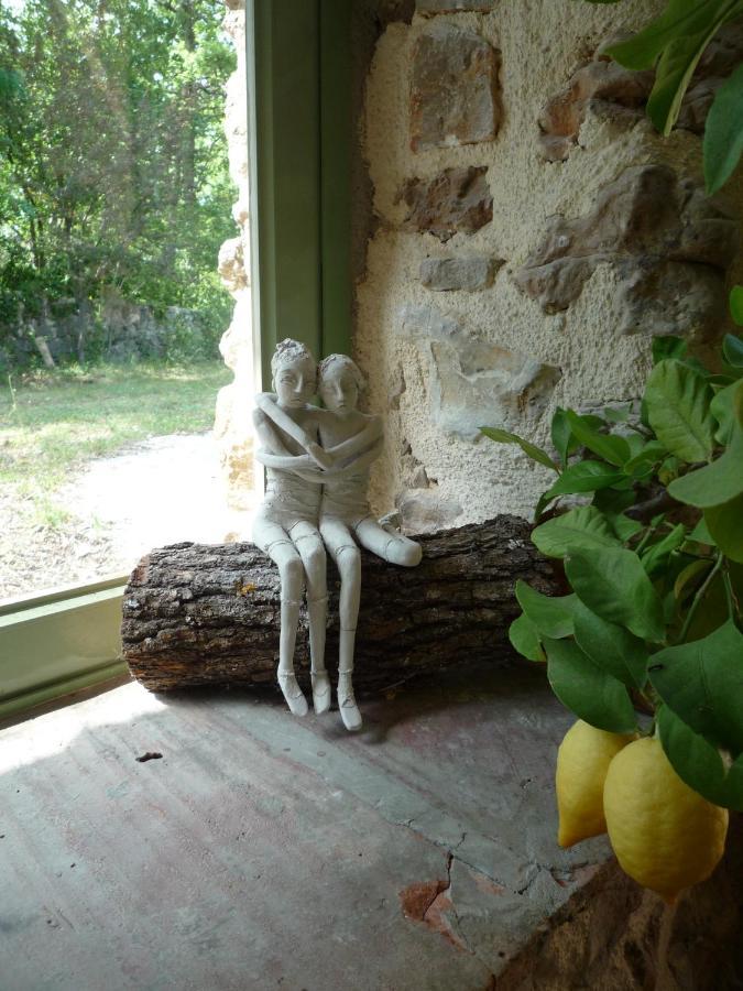 La Rose Des Vents Bed and Breakfast Montauroux Exterior foto