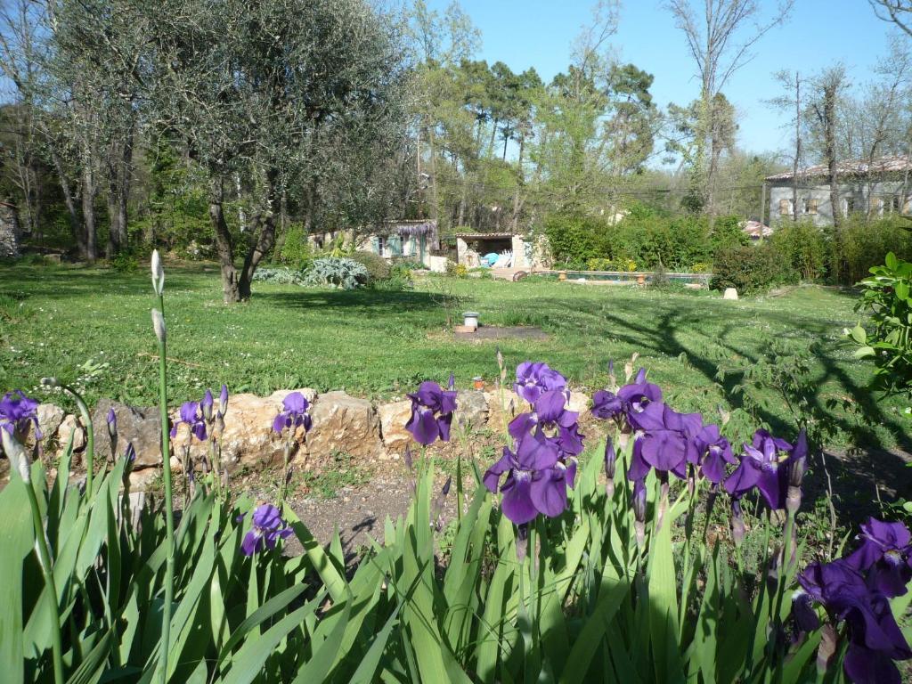 La Rose Des Vents Bed and Breakfast Montauroux Exterior foto